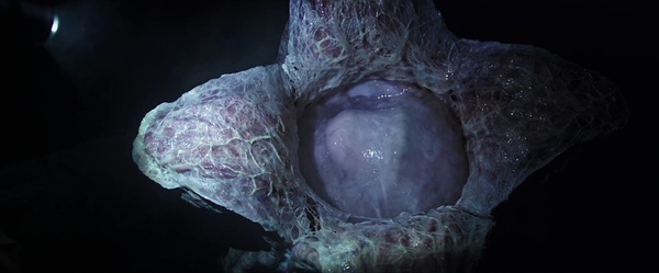 异形契约深度剖析,异形契约深度解析图