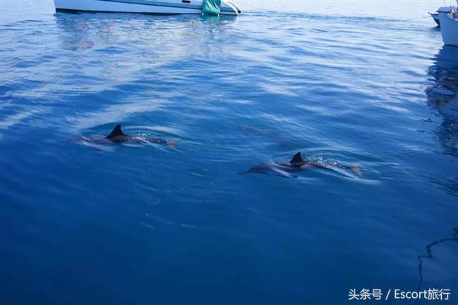 旅游景点攻略毛里求斯,分手大师毛里求斯取景酒店