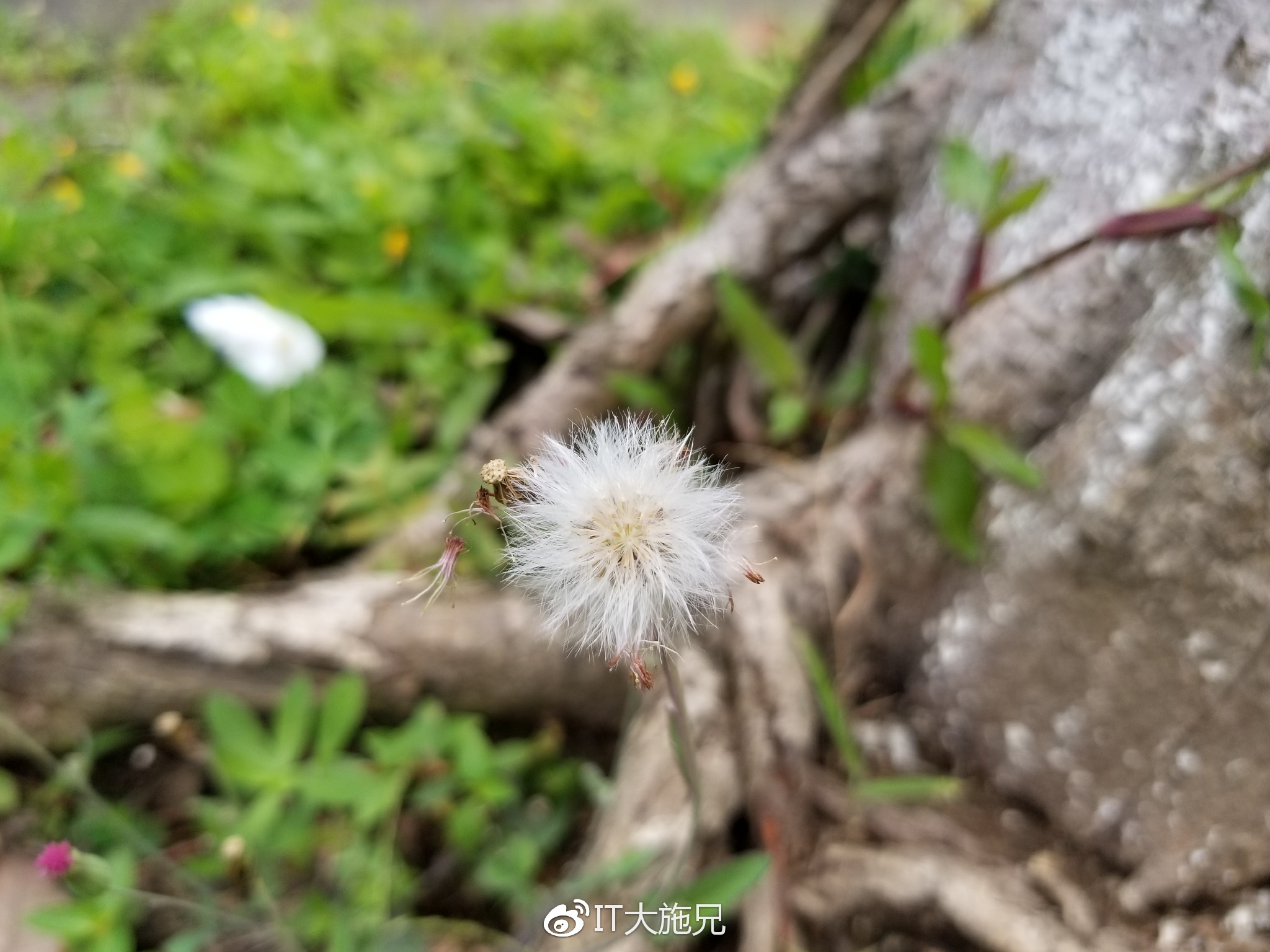 三星s8体验,三星s8轻奢版屏幕测试