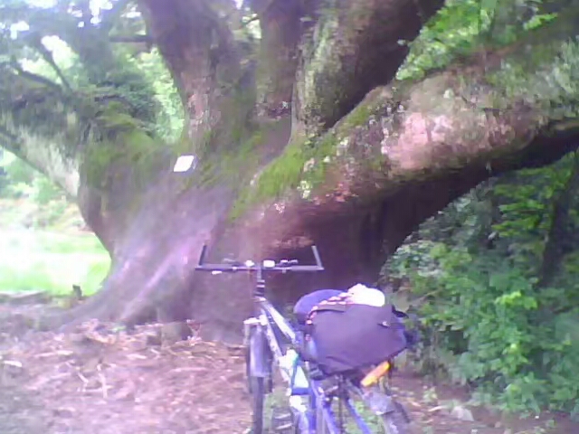 菱行(环中原骑行)5/21篇江西景德镇——浙江杭州