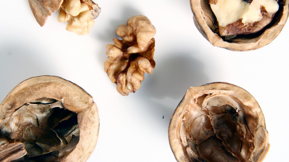 花盆上面铺什么能保持水分,花盆下面怎么垫东西才透气不漏土