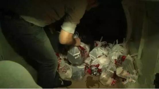 在地球的另一边原声版,在地球另一边