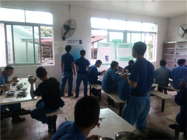 魔法森林写作,魔法森林财商课