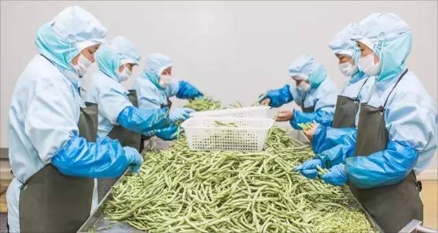 优粮生活闫寒：数未来餐饮大公司，还看外卖｜爱分析访谈