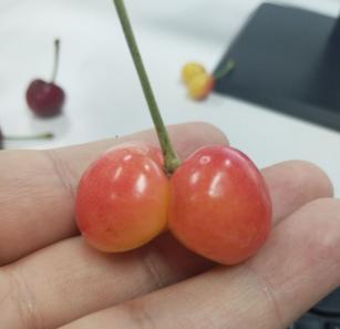 捕获迷之小屁屁一对,尝尝味道还不错