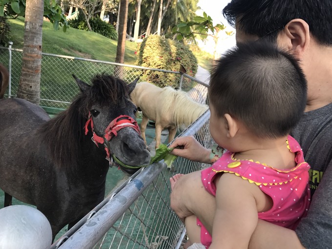 带着二宝出去走走,一拖二带娃三亚旅游攻略