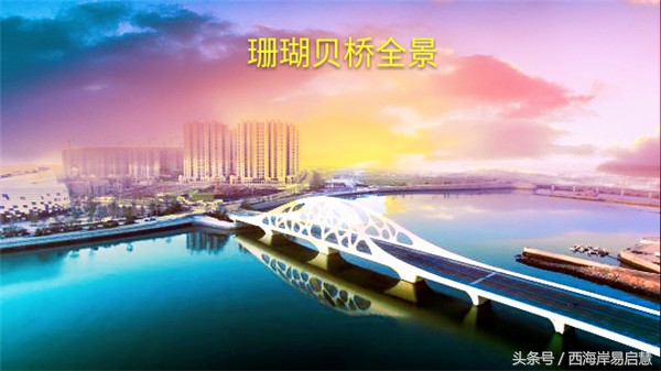 大美青岛之珊瑚贝桥,高清青岛珊瑚贝桥夜景