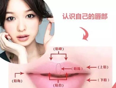 很多人嘴唇上有一道疤,为什么上嘴唇会多出一点肉