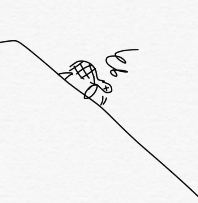 “开起车来我自己都怕”分享一只装上轮子的乌龟