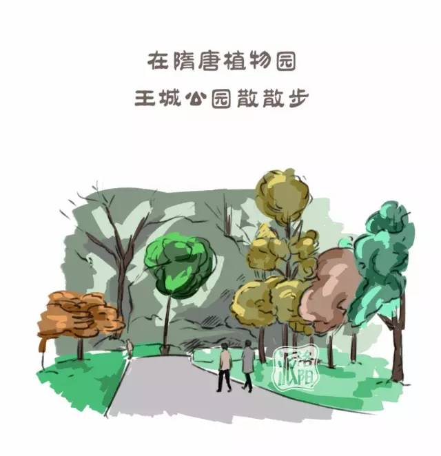 在洛阳生活中的感受,洛阳游玩真实感受