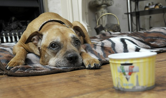 为什么打哈欠会传染呢,打哈欠传染英语