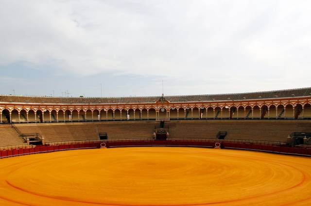 新西兰西班牙斗牛,西班牙杀斗牛