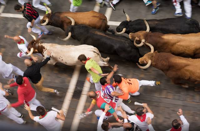 新西兰西班牙斗牛,西班牙杀斗牛