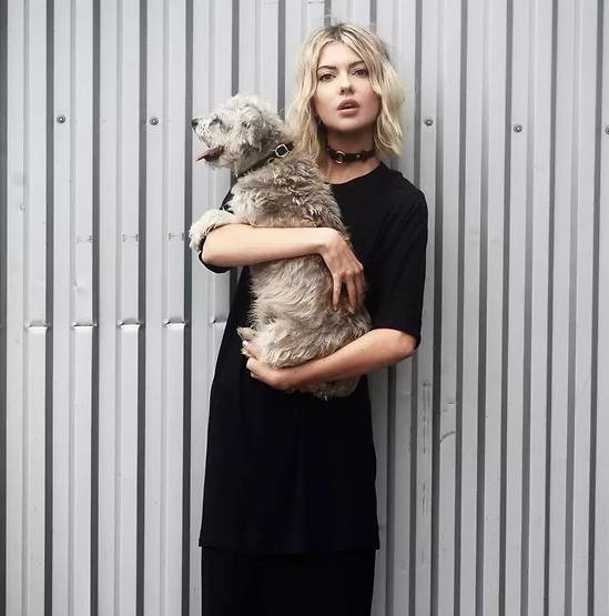 项链选对了秒变天鹅颈,项链轻奢小众高级感天鹅项链