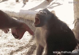 轻松一刻应该怎么做,轻松一刻到底重点在哪里