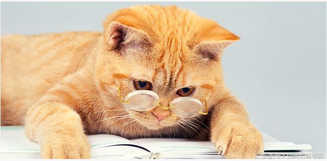 学行销读这一本书就够了,营销书籍推荐