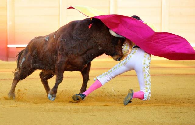 新西兰西班牙斗牛,西班牙杀斗牛