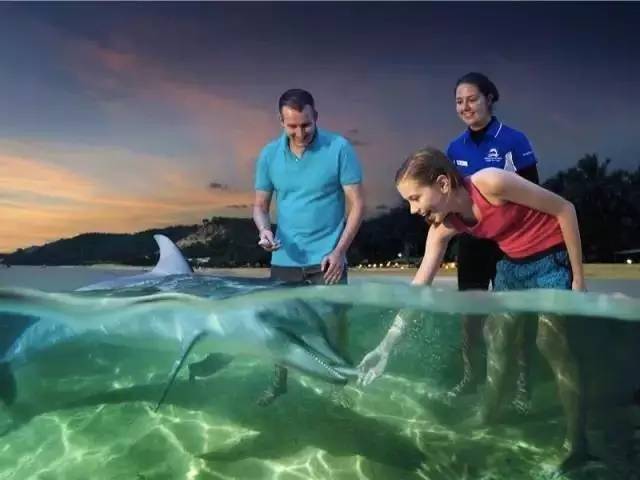 澳洲旅游推荐学生避暑,暑假澳大利亚黄金海岸
