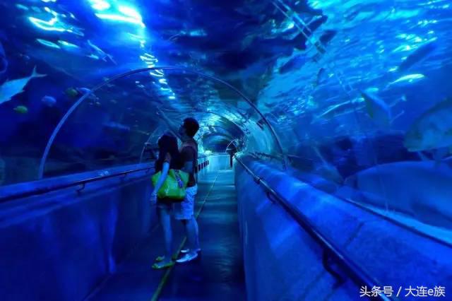 大连沙河口西岗中山哪个区最大,大连市区中山西岗沙河口