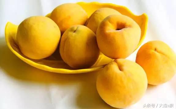 大连沙河口西岗中山哪个区最大,大连市区中山西岗沙河口