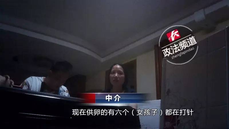 女记者亲历*市黑**卖卵!报完身高、颜值、学历后,给出的价码是