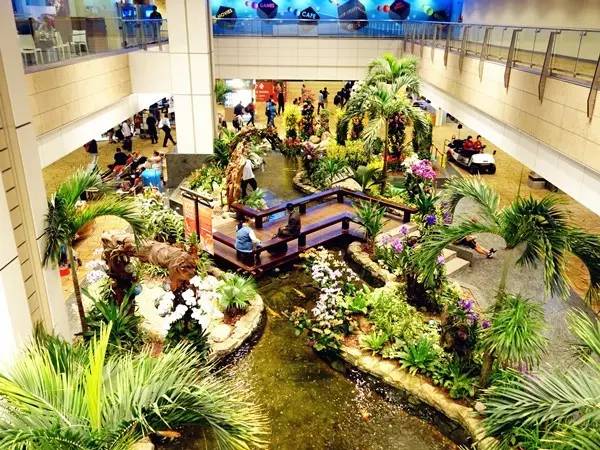 世界最值得一去的机场排名,全球排第一的机场