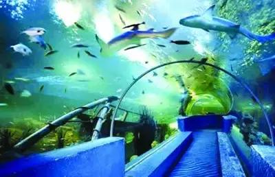 西安市雁塔区经济实力,雁塔区是西安最大的吗