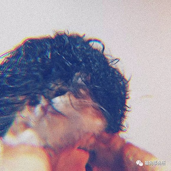 为什么猫可以让一个人的心情变好,猫能使人成熟的从来不是岁月