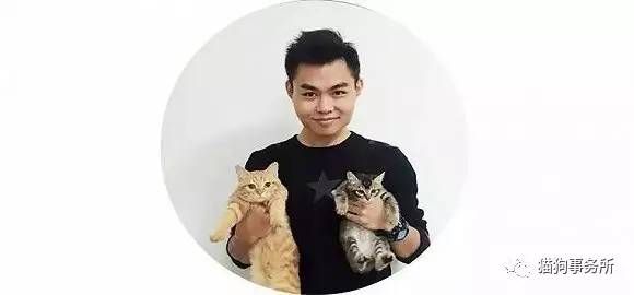 为什么猫可以让一个人的心情变好,猫能使人成熟的从来不是岁月