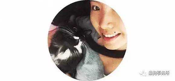 为什么猫可以让一个人的心情变好,猫能使人成熟的从来不是岁月