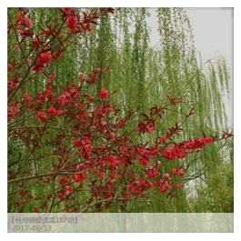 看图猜成语第二题真的很难求答案,看图猜成语最难答题的一个答案