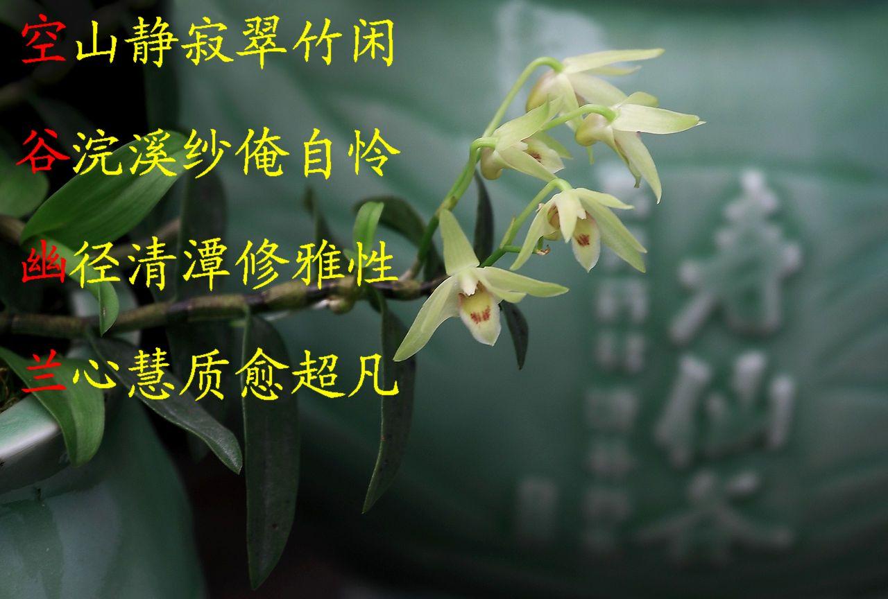 陈奕迅哪首歌词中有k歌之王,陈奕迅k歌之王最好听的版本