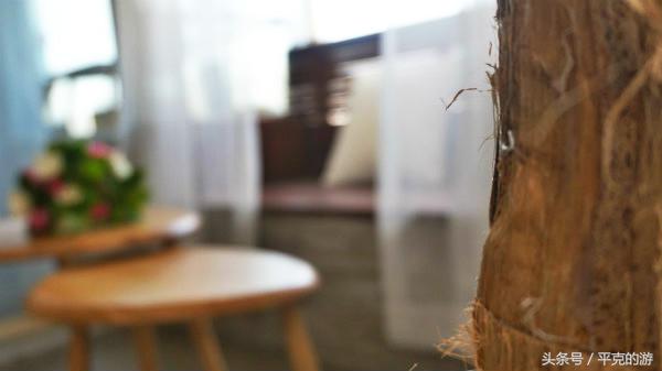 城食|至纯至美在觅兔,洗净铅华的纯色世界