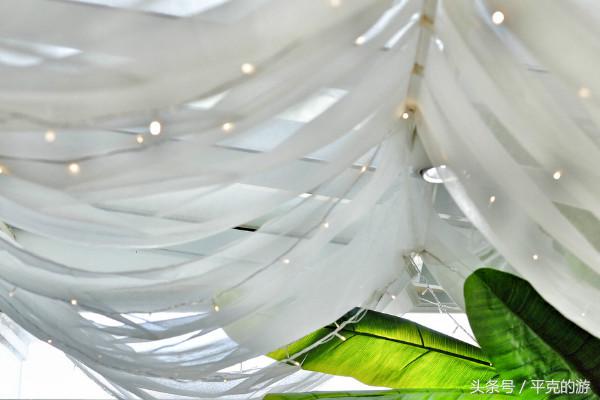 城食|至纯至美在觅兔,洗净铅华的纯色世界