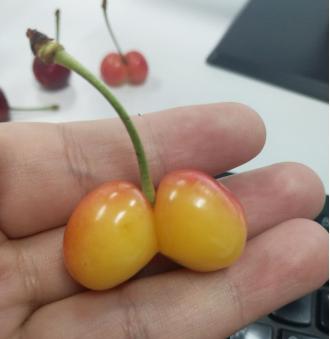 捕获迷之小屁屁一对,尝尝味道还不错