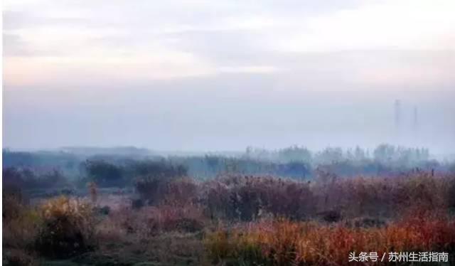 郭巷尹山湖最新视频,郭巷尹山湖原唱