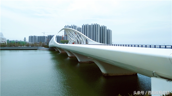大美青岛之珊瑚贝桥,高清青岛珊瑚贝桥夜景