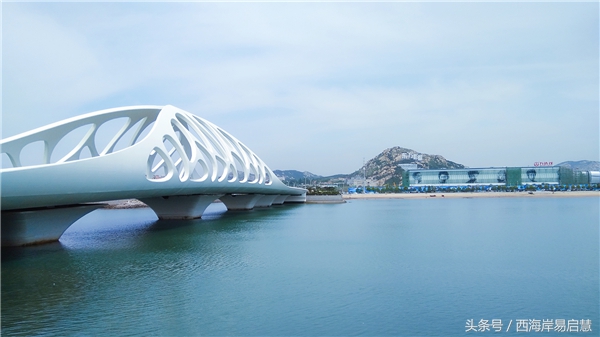 大美青岛之珊瑚贝桥,高清青岛珊瑚贝桥夜景