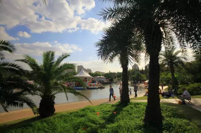 身价320亿!郑州最低调的土豪竟然是他