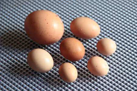 身上长白斑是白癜风吗如何确诊,身上出现白斑都是白癜风吗