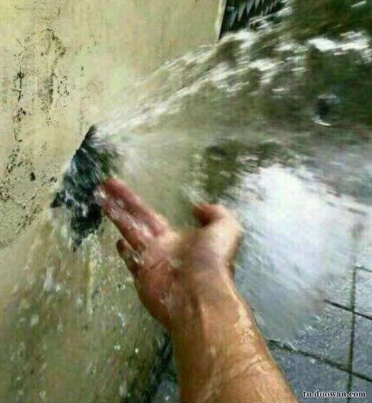 每日一乐让你快乐,每日一乐好不好