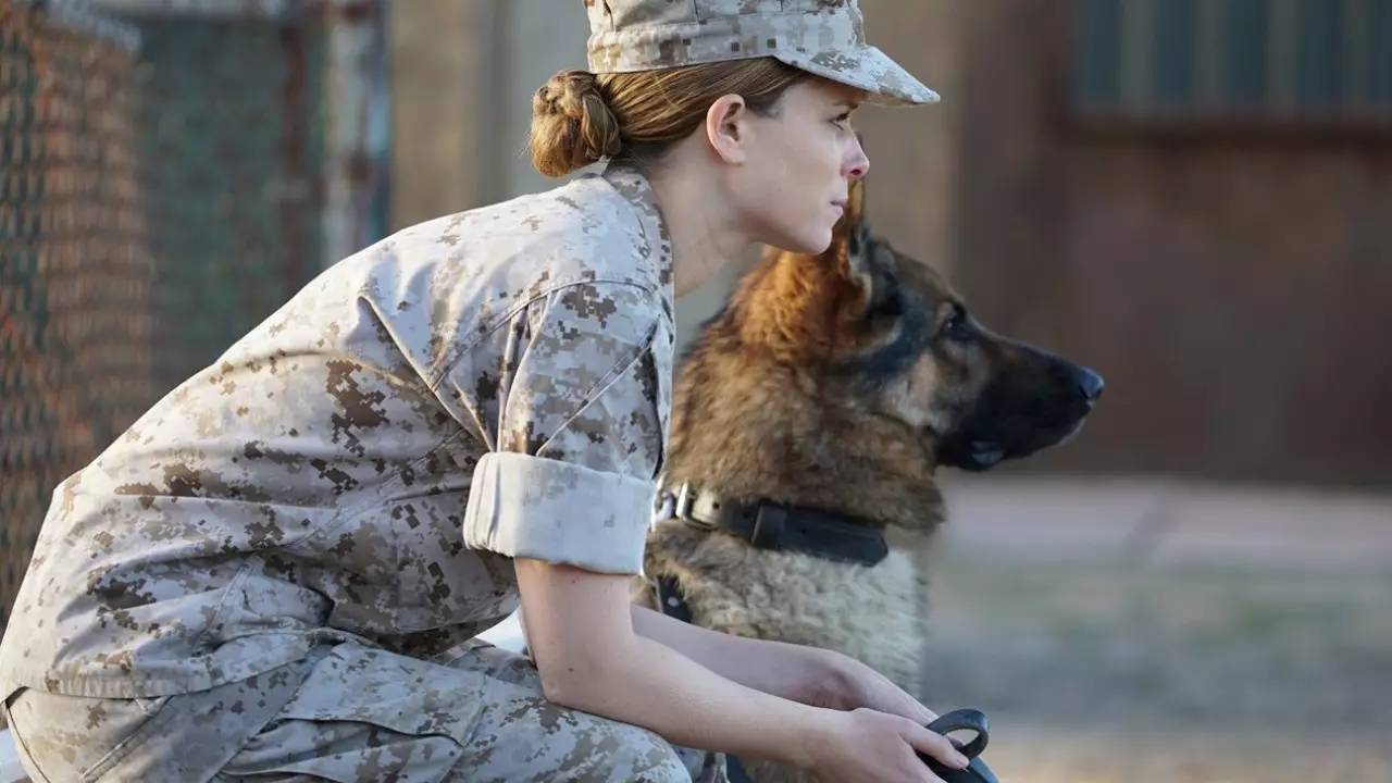 dc神奇女侠1984有彩蛋吗,dc神奇女侠