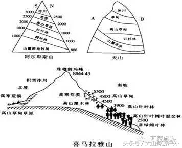 喜马拉雅山红雪,解密喜马拉雅山雪人之谜