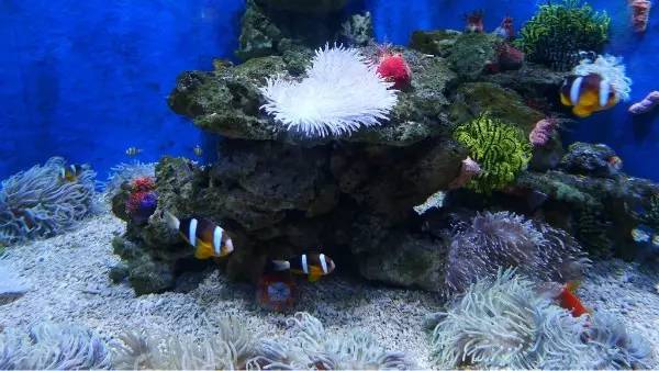 西安市雁塔区经济实力,雁塔区是西安最大的吗