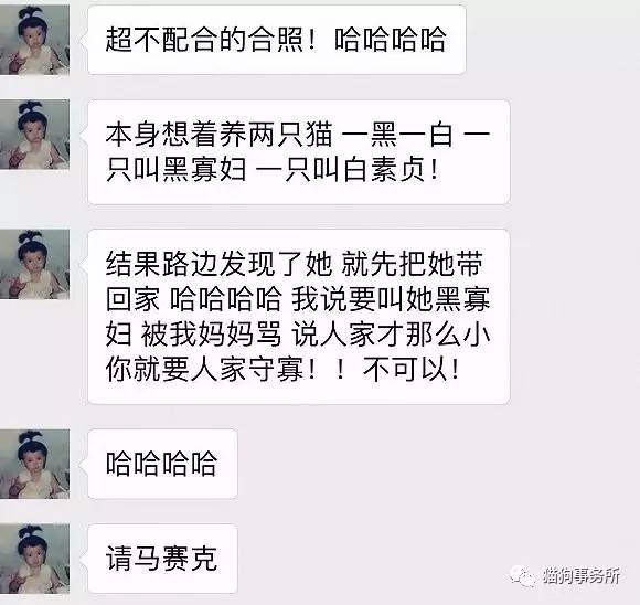 为什么猫可以让一个人的心情变好,猫能使人成熟的从来不是岁月