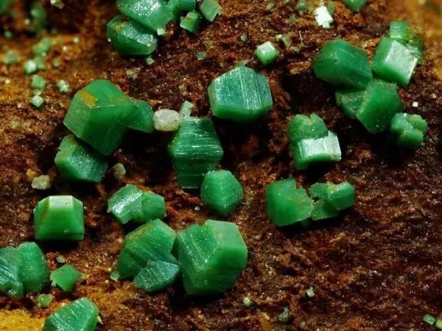 为了这些奇葩的颜料,人类付出了最惨痛的代价