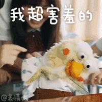 iphone购买时间和激活时间不一致,iphone激活日期不准