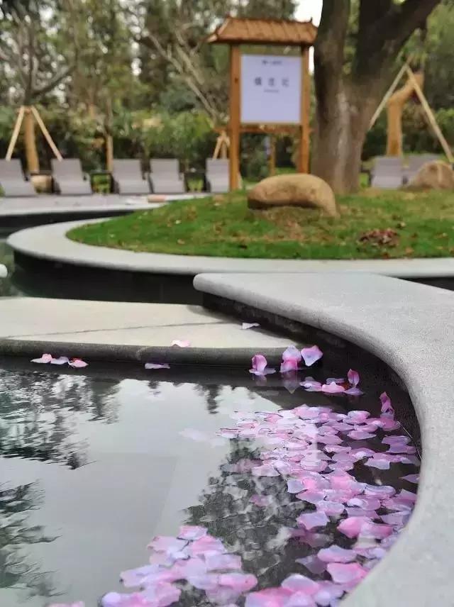 满客旅游|毕业旅行:行遍江南清丽地,人生只合住湖州——太湖雷迪森欢迎您