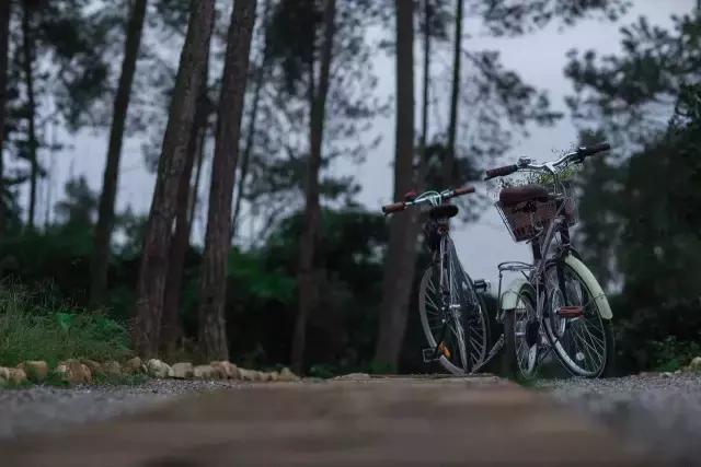 制陶、染布、品美食,6月24—25日,来成都仁和春天感受明月村的诗意生活