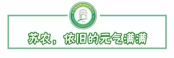 邂逅苏农,苏农视频